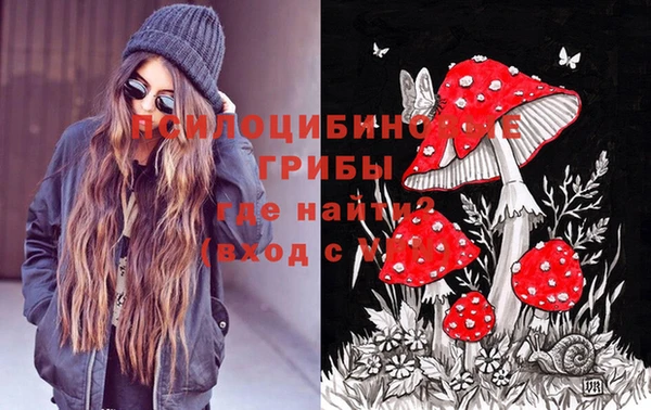 спиды Алексеевка