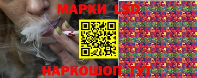 СК Дубна