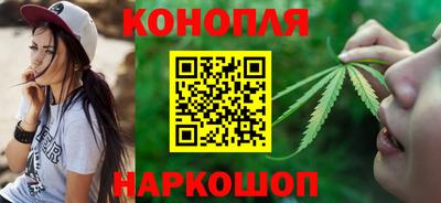 СК Дубна