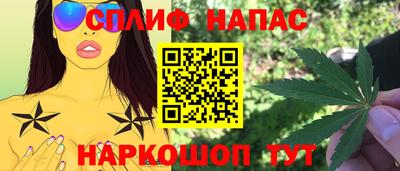 СК Дубна