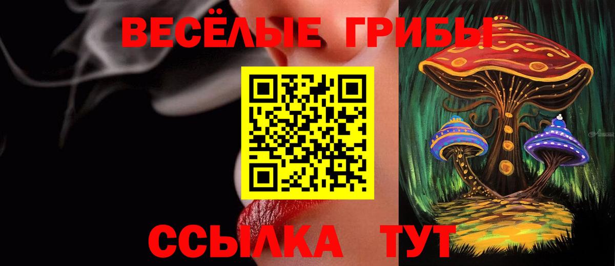 Галлюциногенные грибы MAGIC MUSHROOMS  Вход с VPN  Ливны 