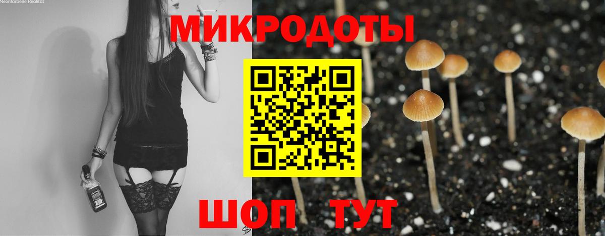 Псилоцибиновые грибы MAGIC MUSHROOMS Ливны